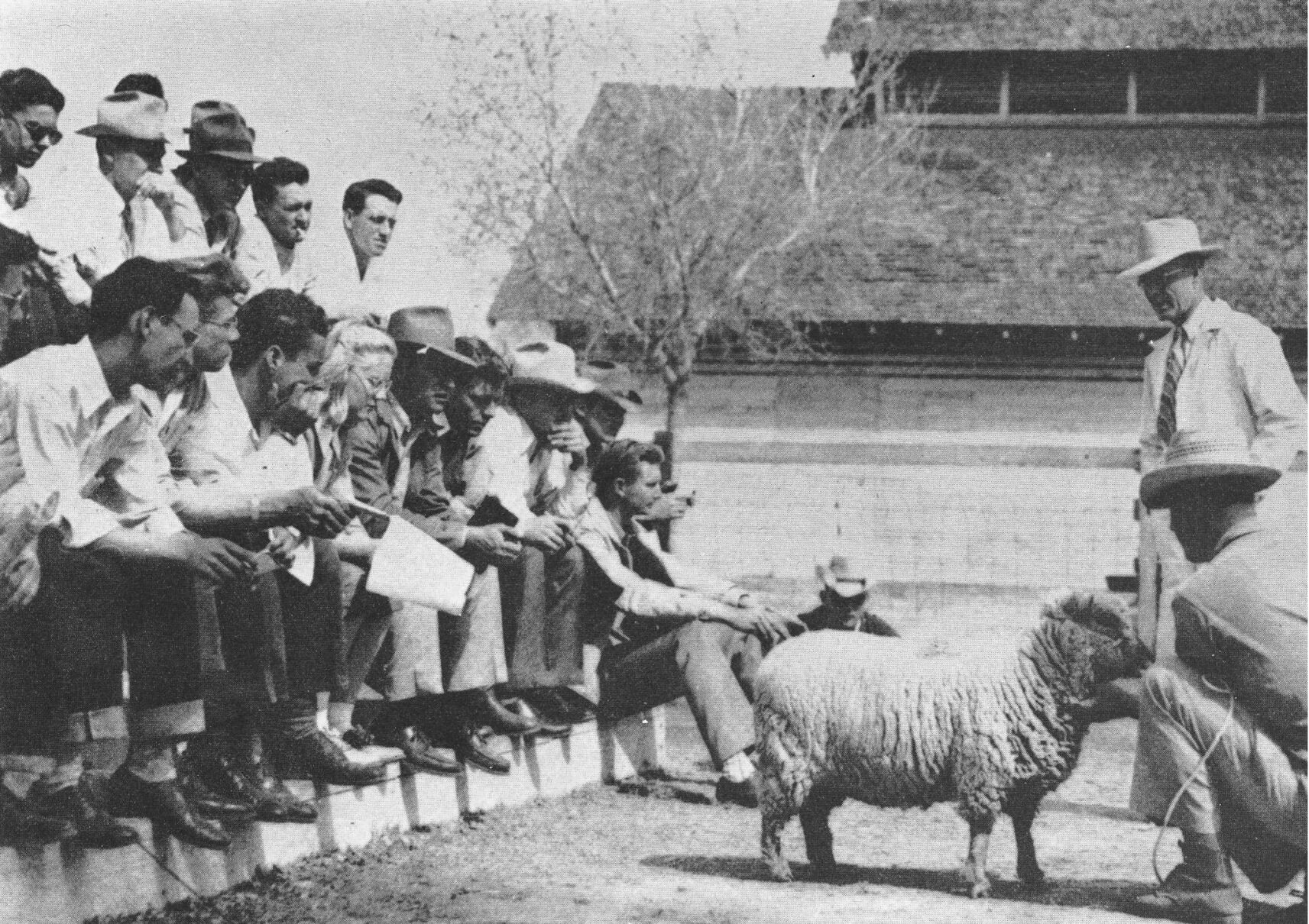 University of Arizona Farm, Tucson, historical